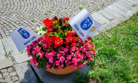 Dirka Po Sloveniji - izpeljan start 4. etape 3